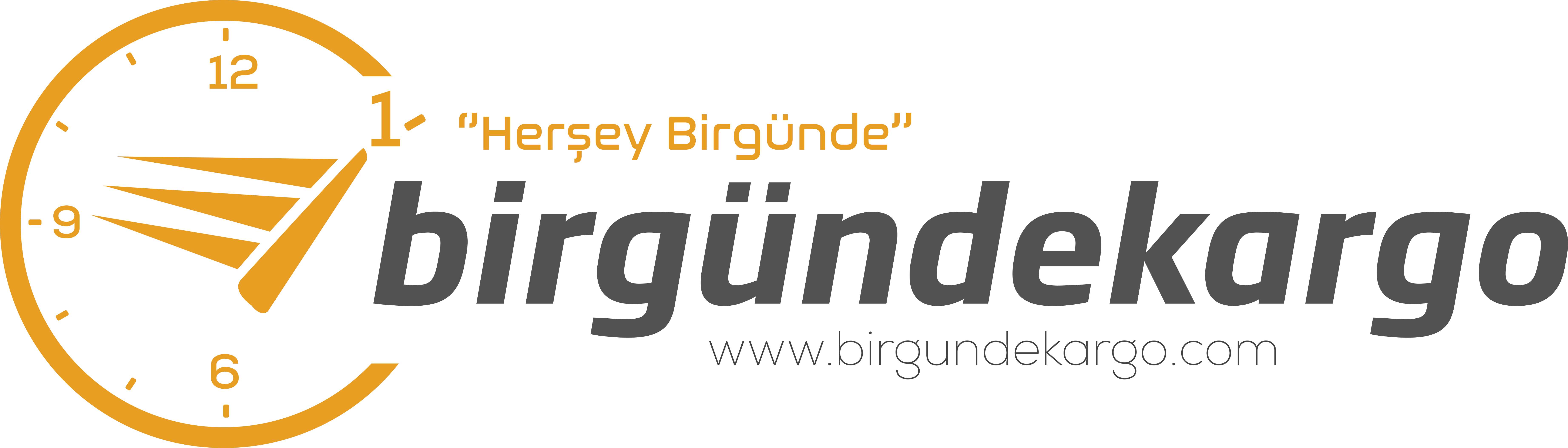 Bir Günde Kargo