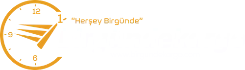 Bir Günde Kargo